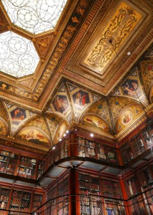 cloris-ying-HLY6JLs6eHI-unsplash cloris-ying-HLY6JLs6eHI-unsplash