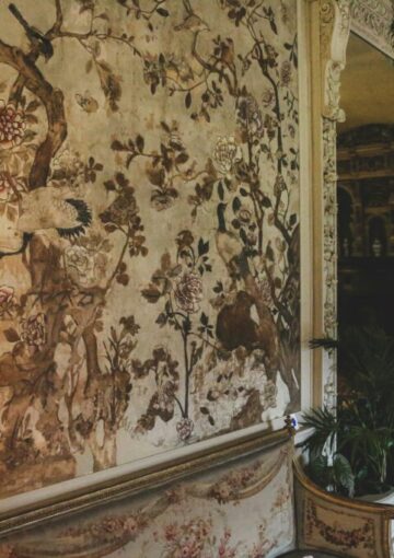 max-letek-jAfNkgKzRYU-unsplash max-letek-jAfNkgKzRYU-unsplash