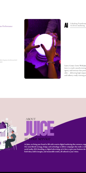 juice, concept digital marketing agency website juice, concept digital marketing agency website
